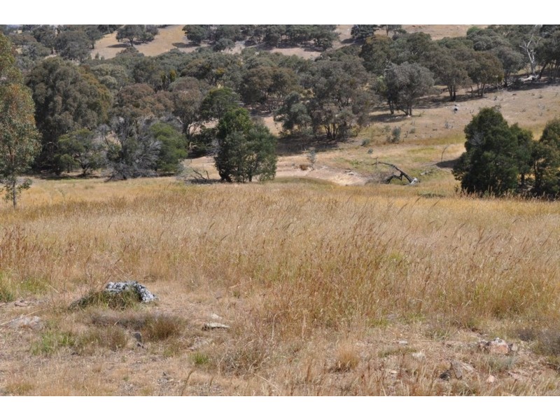 Amphitheatre VIC 3468