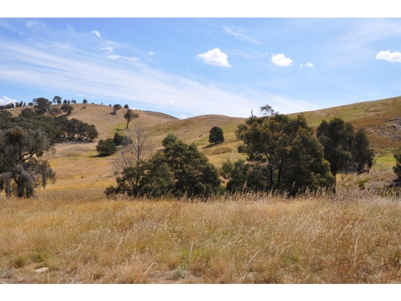 Amphitheatre VIC 3468