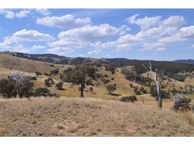 Amphitheatre VIC 3468