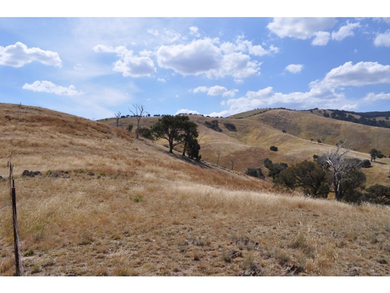 Amphitheatre VIC 3468