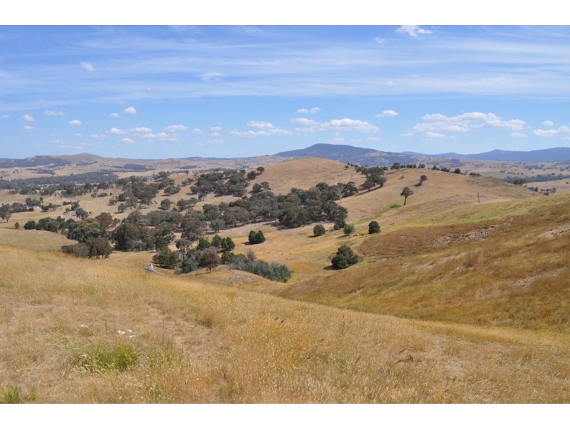 Amphitheatre VIC 3468