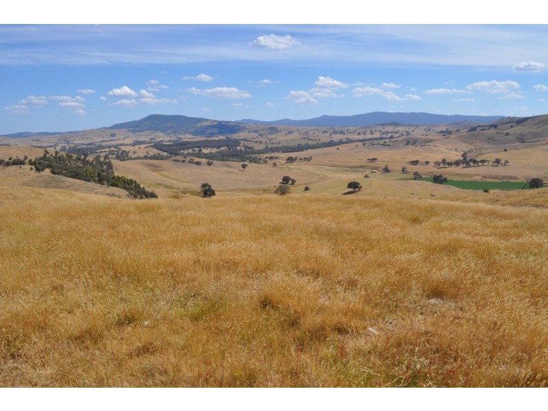 Amphitheatre VIC 3468