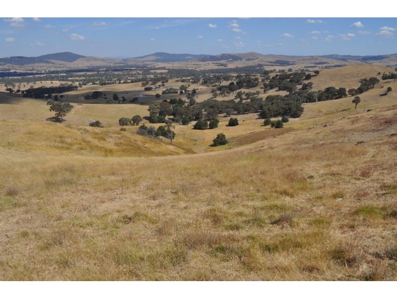 Amphitheatre VIC 3468