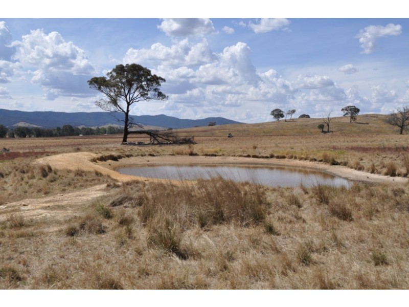 Amphitheatre VIC 3468