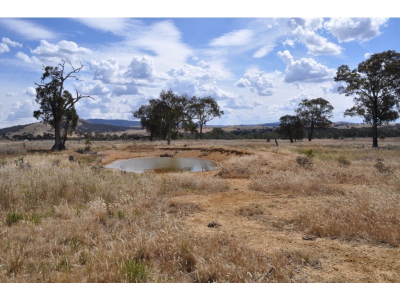 Amphitheatre VIC 3468