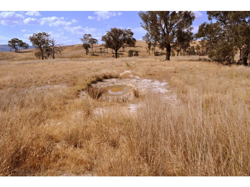 Amphitheatre VIC 3468