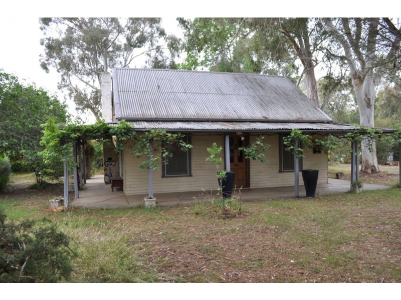 Amphitheatre VIC 3468