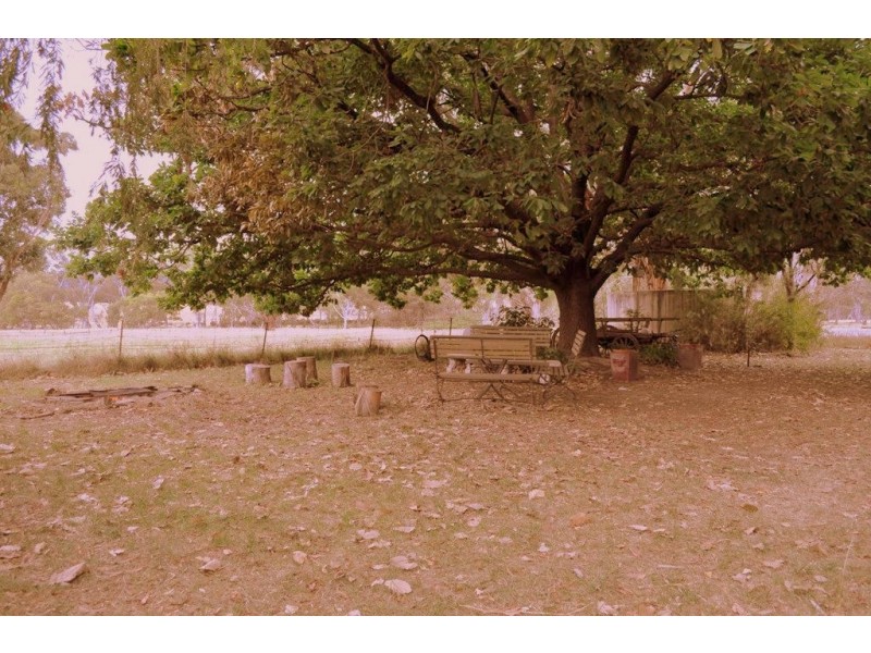 Amphitheatre VIC 3468