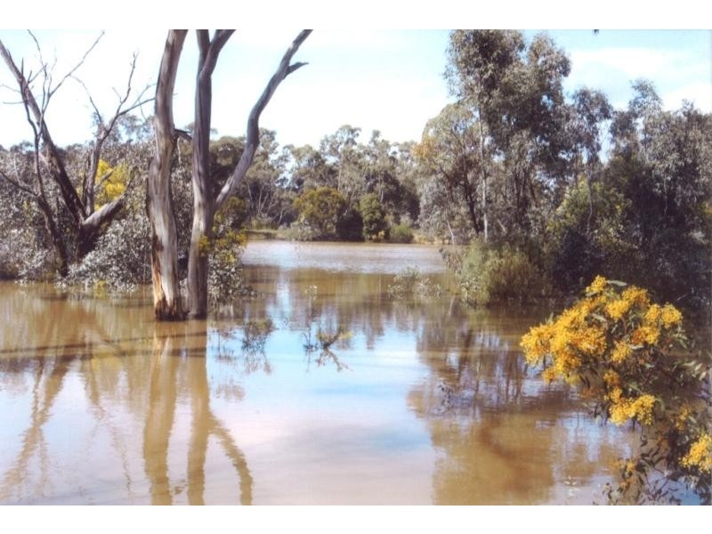 251 Dawsons Road, Avoca VIC 3467