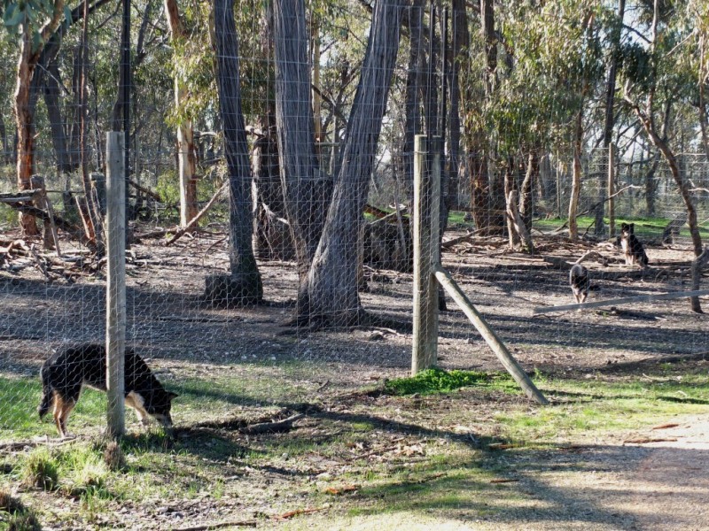 251 Dawsons Road, Avoca VIC 3467