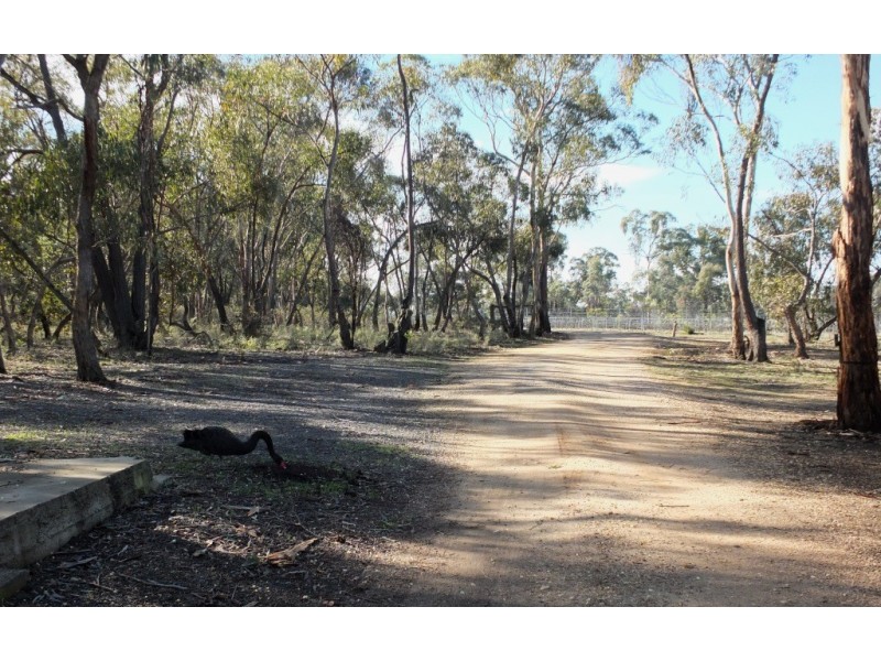 251 Dawsons Road, Avoca VIC 3467