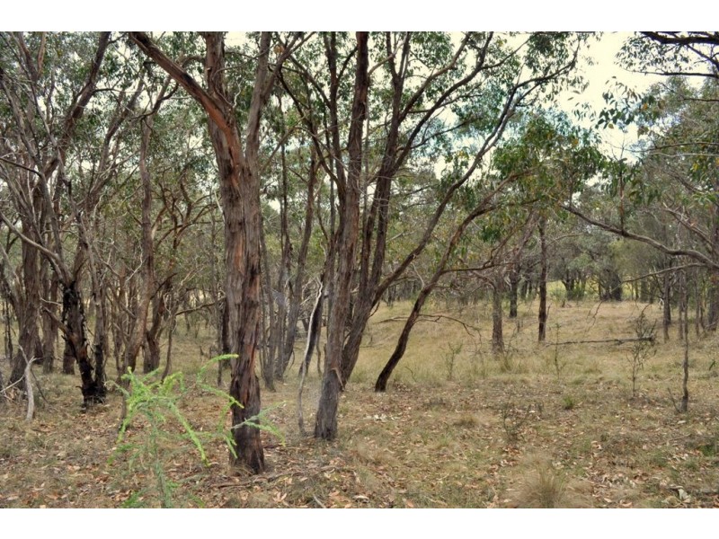 CA 28 Francis Lane, Linton VIC 3360