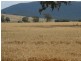 153 Ahern’s Rd, Raglan VIC 3373