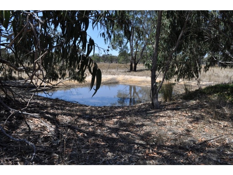 CA 3A Barrys Road, Avoca VIC 3467