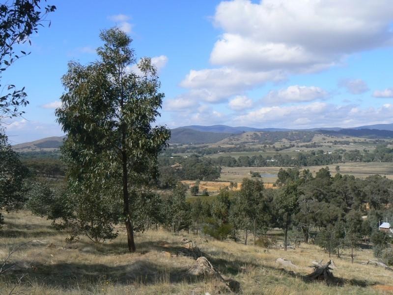 Lot 185/ Borbidge Lane, Moonambel VIC 3478