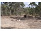 Lot 10 Coleman Road, Moonambel VIC 3478