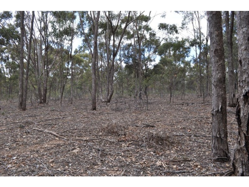 Lot 10 Coleman Road, Moonambel VIC 3478