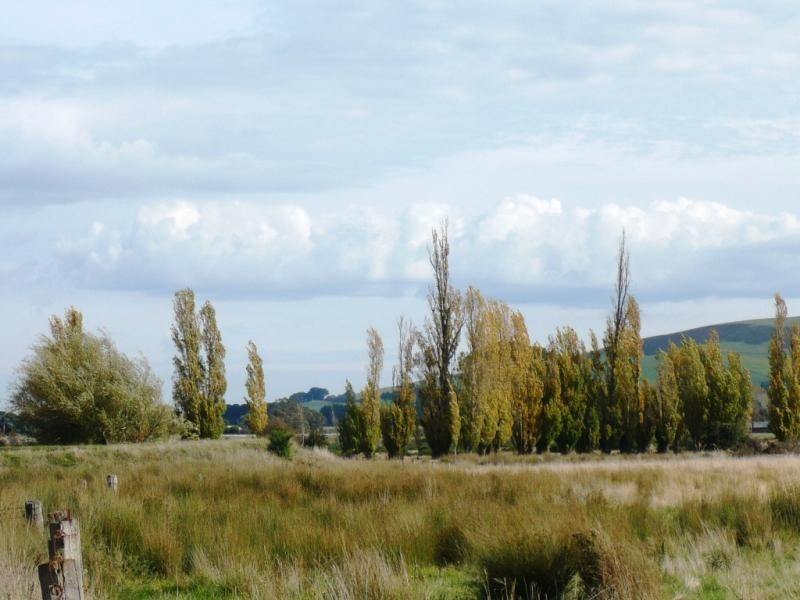 - Cnr. Dean Newlyn Rd. and Ryries Rd., Newlyn VIC 3364
