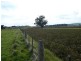 - Cnr. Dean Newlyn Rd. and Ryries Rd., Newlyn VIC 3364