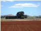- Cnr. Dean Newlyn Rd. and Ryries Rd., Newlyn VIC 3364
