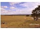 Lot 2, 498 Caralulup Road, Avoca VIC 3467