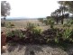 Lot 2, 498 Caralulup Road, Avoca VIC 3467