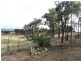 Lot 2, 498 Caralulup Road, Avoca VIC 3467