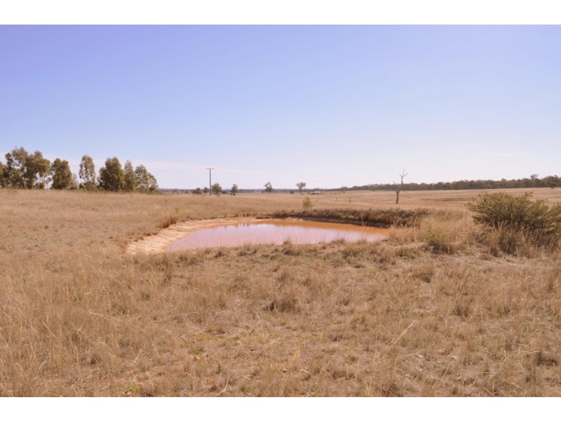 CA 316 Landsborough-Barkly Road, Landsborough VIC 3384