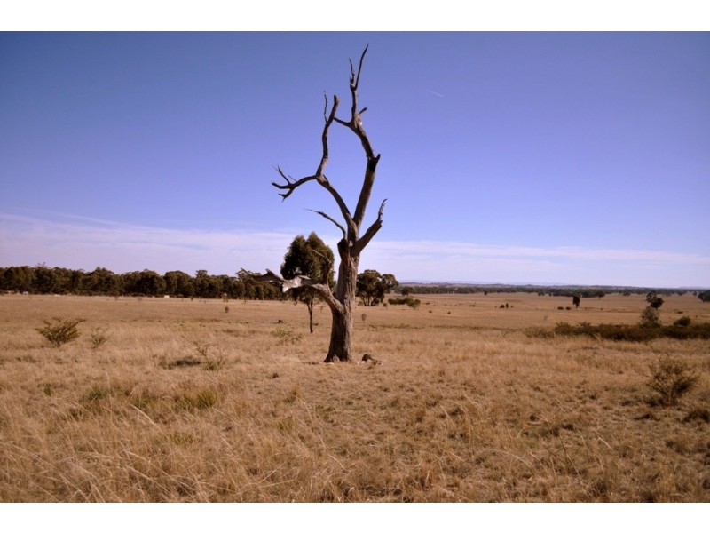 CA 316 Landsborough-Barkly Road, Landsborough VIC 3384