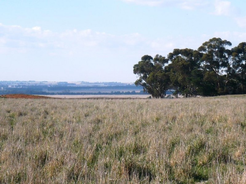 - Geelong Road, Ballyrogan VIC 3375