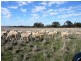 - Geelong Road, Ballyrogan VIC 3375