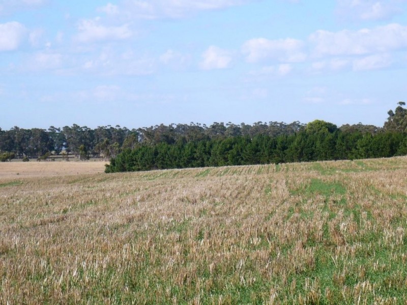 - Geelong Road, Ballyrogan VIC 3375