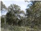 Lot 27 Robinson-Percydale Road, Avoca VIC 3467