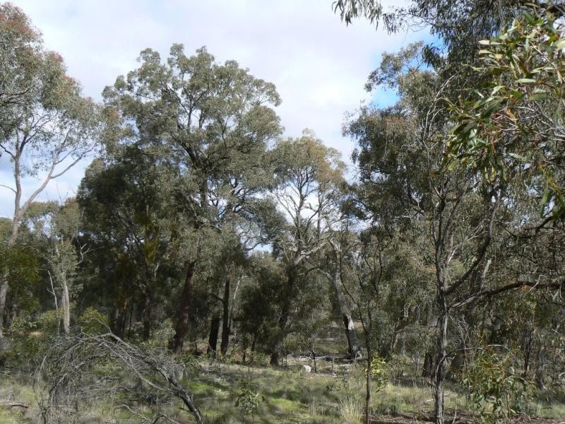 Lot 27 Robinson-Percydale Road, Avoca VIC 3467