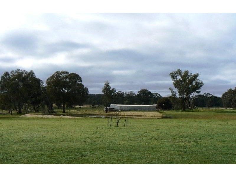 7056 Pyrenees Highway, Avoca VIC 3467