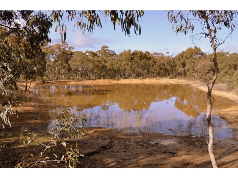 Lot 1/498 Caralulup Road, Avoca VIC 3467