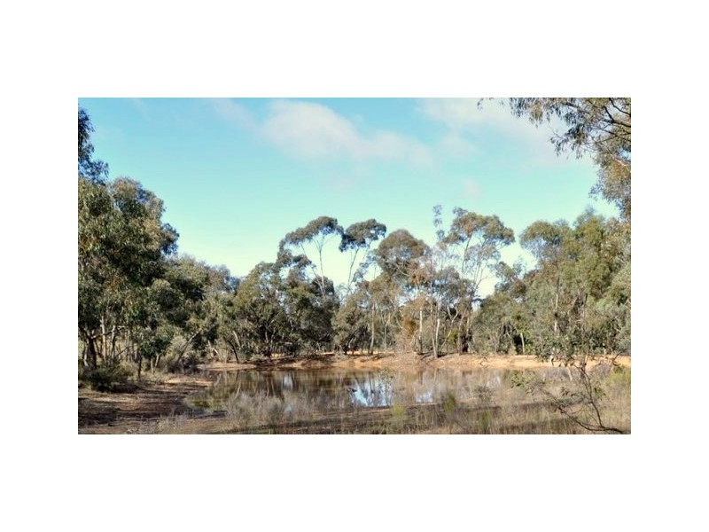 Lot 1/498 Caralulup Road, Avoca VIC 3467