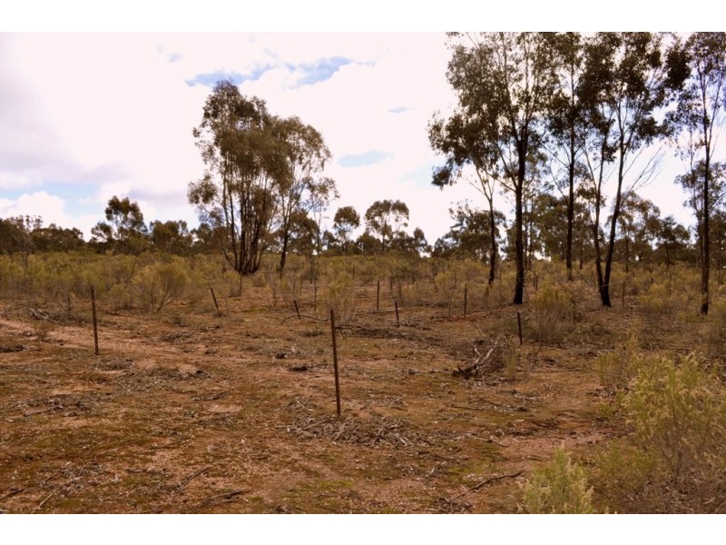 Lot 1/498 Caralulup Road, Avoca VIC 3467