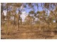 Lot 1/498 Caralulup Road, Avoca VIC 3467