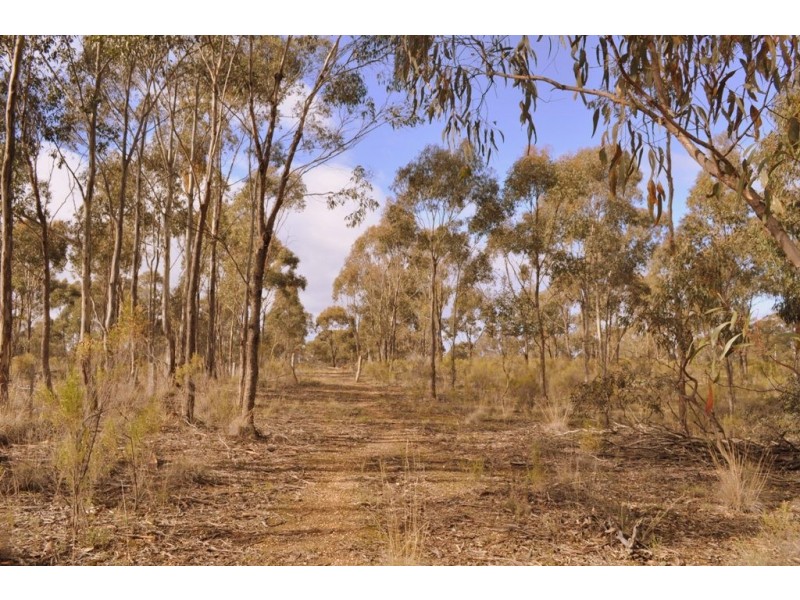 Lot 1/498 Caralulup Road, Avoca VIC 3467