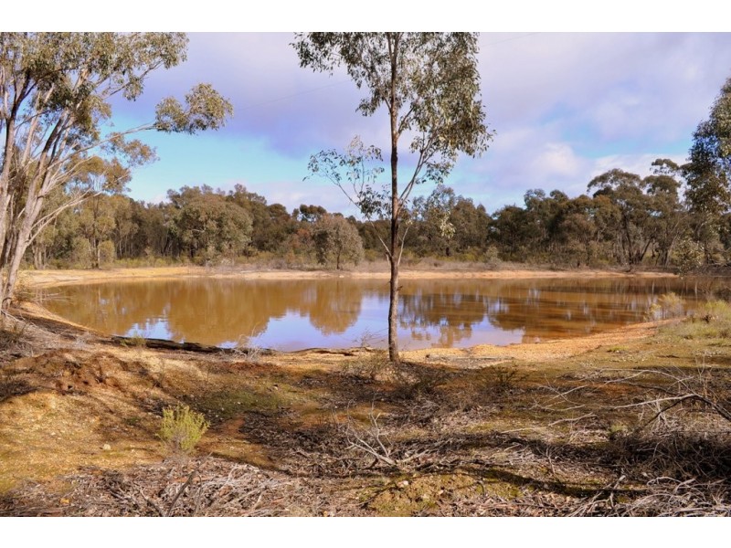 Lot 1/498 Caralulup Road, Avoca VIC 3467