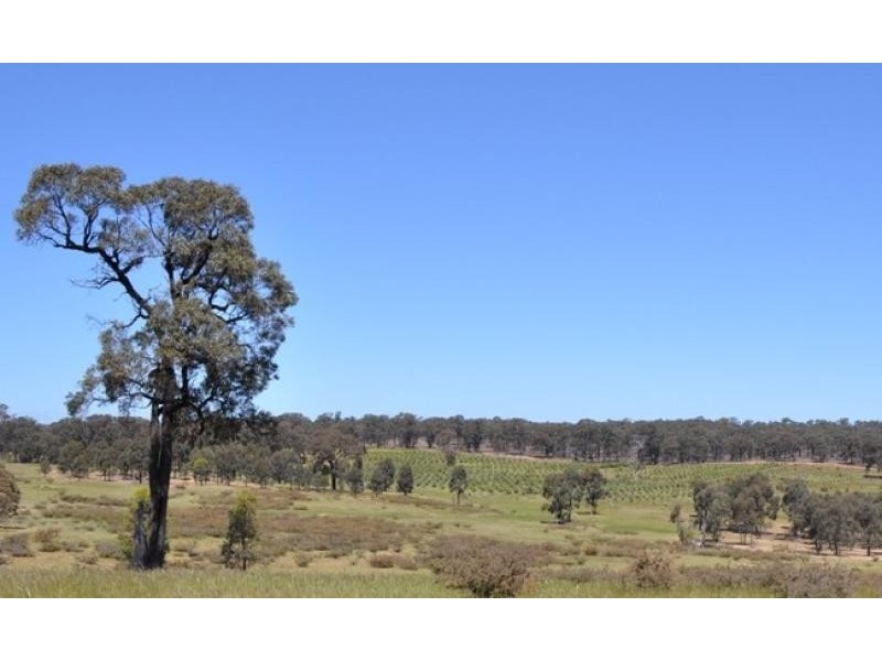 5293 Wimmera Highway, Cochranes Creek VIC 3475