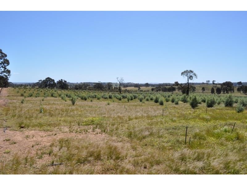 5293 Wimmera Highway, Cochranes Creek VIC 3475