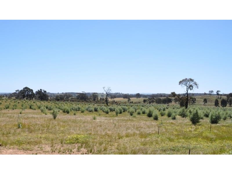 5293 Wimmera Highway, Cochranes Creek VIC 3475
