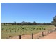 5293 Wimmera Highway, Cochranes Creek VIC 3475