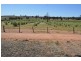 5293 Wimmera Highway, Cochranes Creek VIC 3475