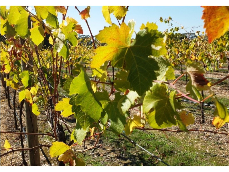 1819 Sunraysia Highway, Redbank VIC 3477