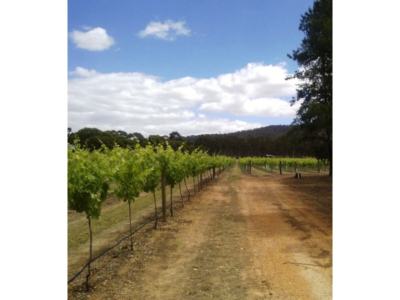 1819 Sunraysia Highway, Redbank VIC 3477