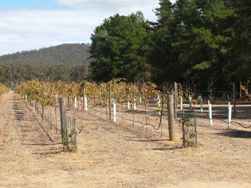 1819 Sunraysia Highway, Redbank VIC 3477