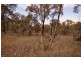 CA 109 Sunraysia Highway, Avoca VIC 3467